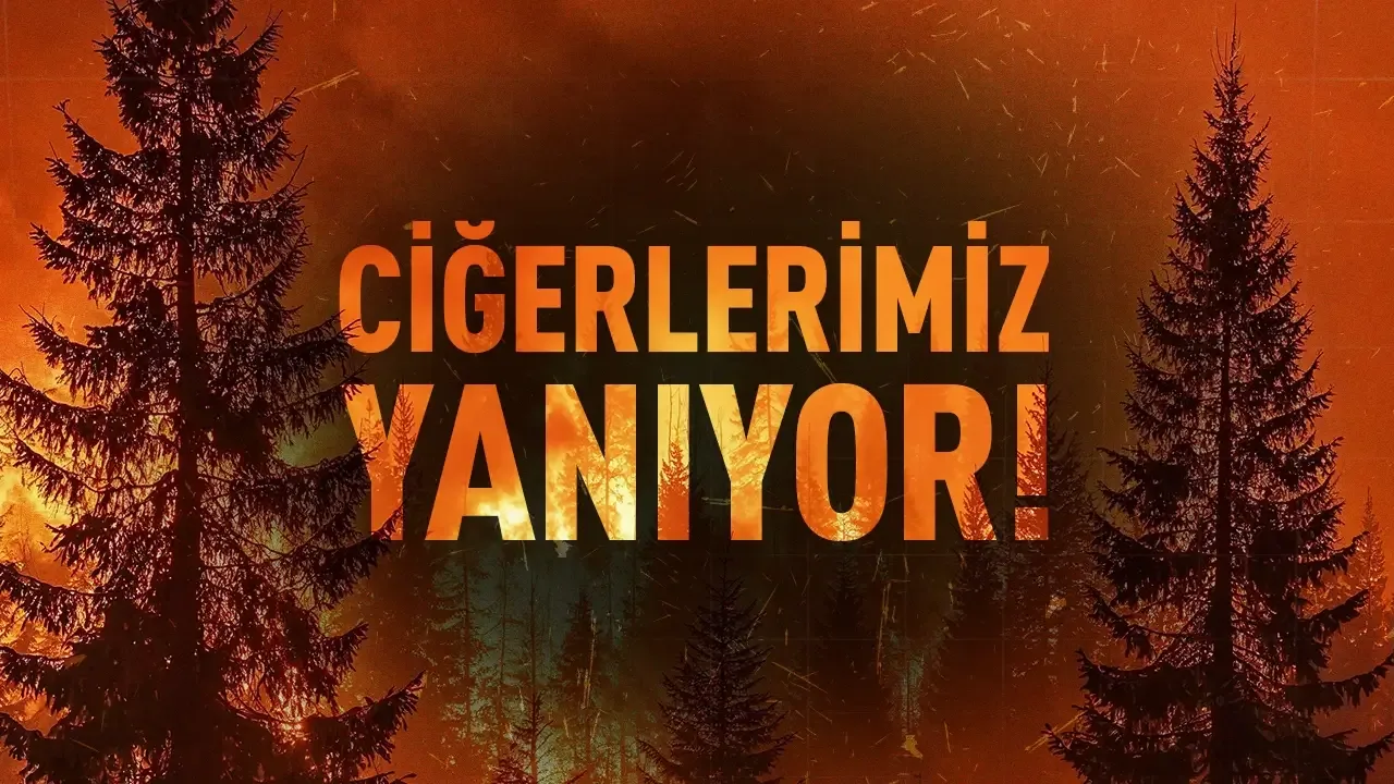 Ciğerlerimiz Yanıyor!